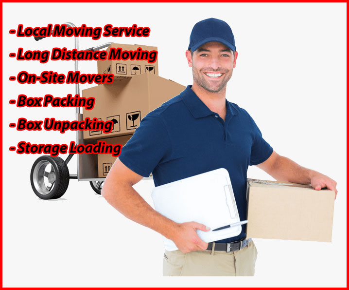 Packers And Movers Noida Sector 47